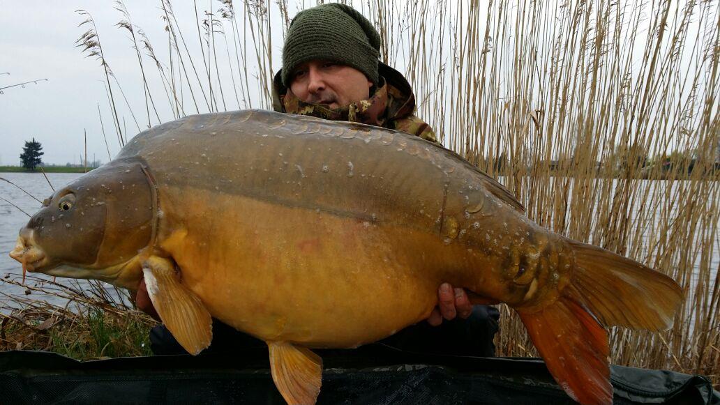 SALASCO 23 - 26 martie 2015 - img-20150325-wa0002.jpg